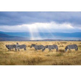 Kenya